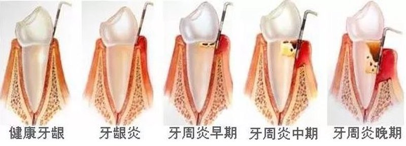 口腔之光——极光口腔引领时代潮流